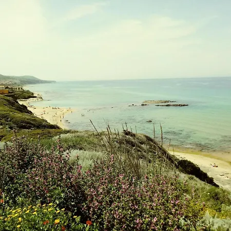 Bouganville *